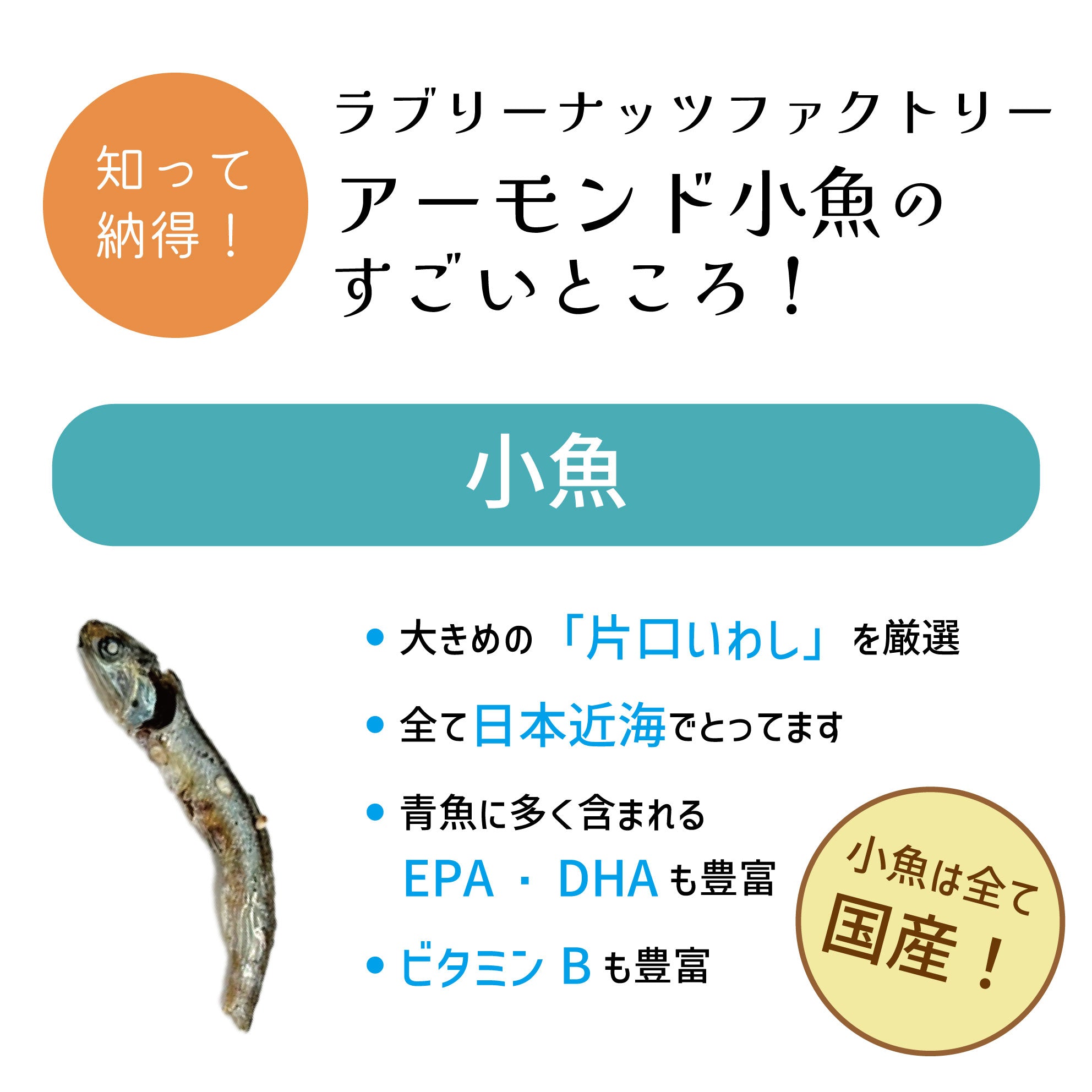 フィッシュ&アーモンド 300g×1袋